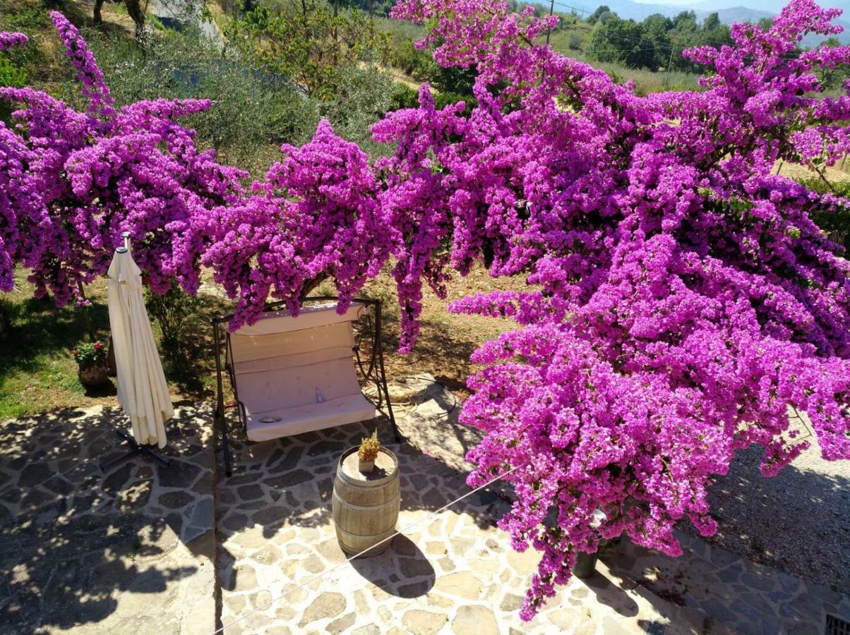 Aquara Agriturismo Il Marchese מראה חיצוני תמונה