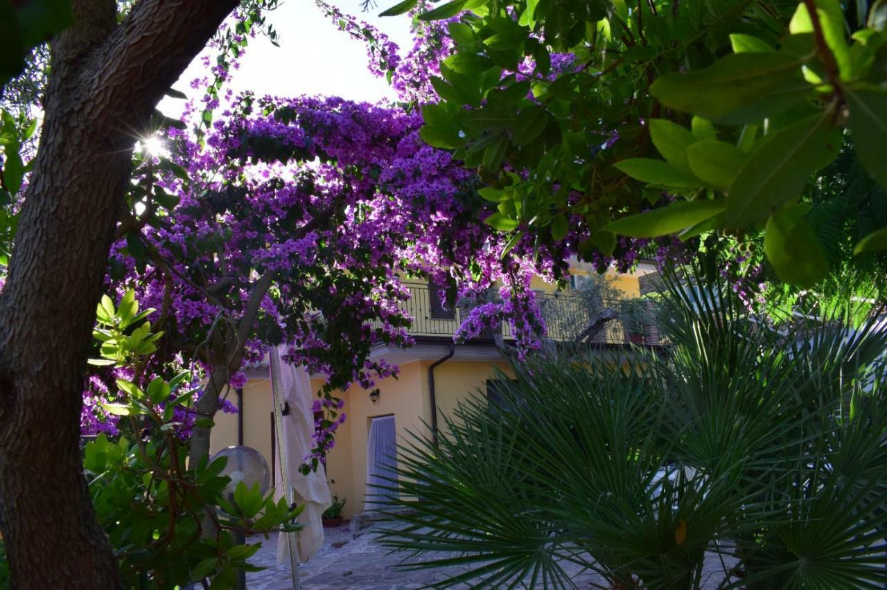 Aquara Agriturismo Il Marchese מראה חיצוני תמונה